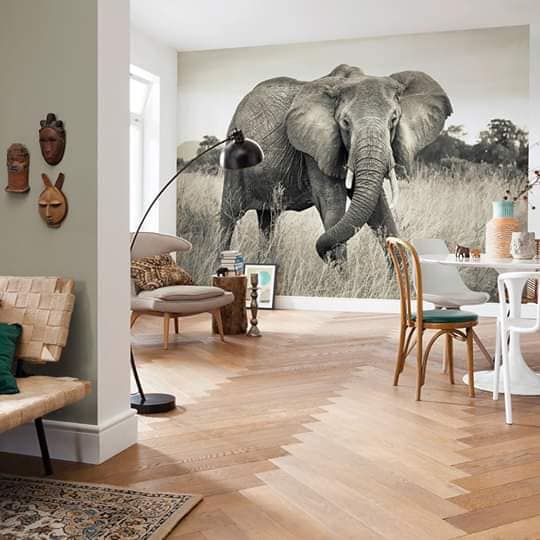 Services de pose de parquet, papier peint et habillage mural en bois à Agadir